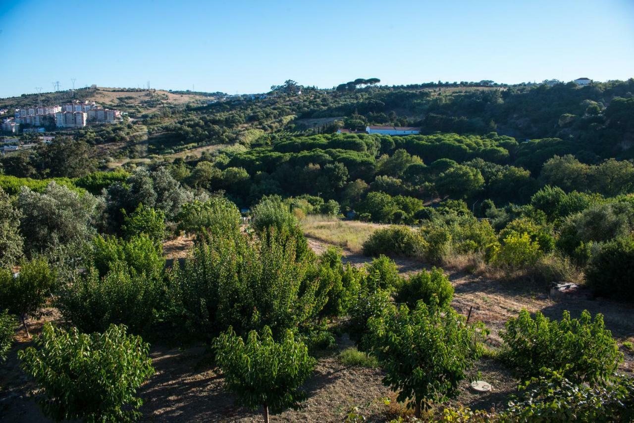 הוילה וילה פרנקה דה שירה Quinta Montebelo מראה חיצוני תמונה