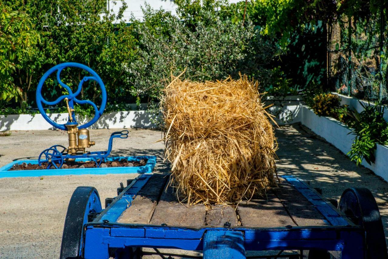 הוילה וילה פרנקה דה שירה Quinta Montebelo מראה חיצוני תמונה