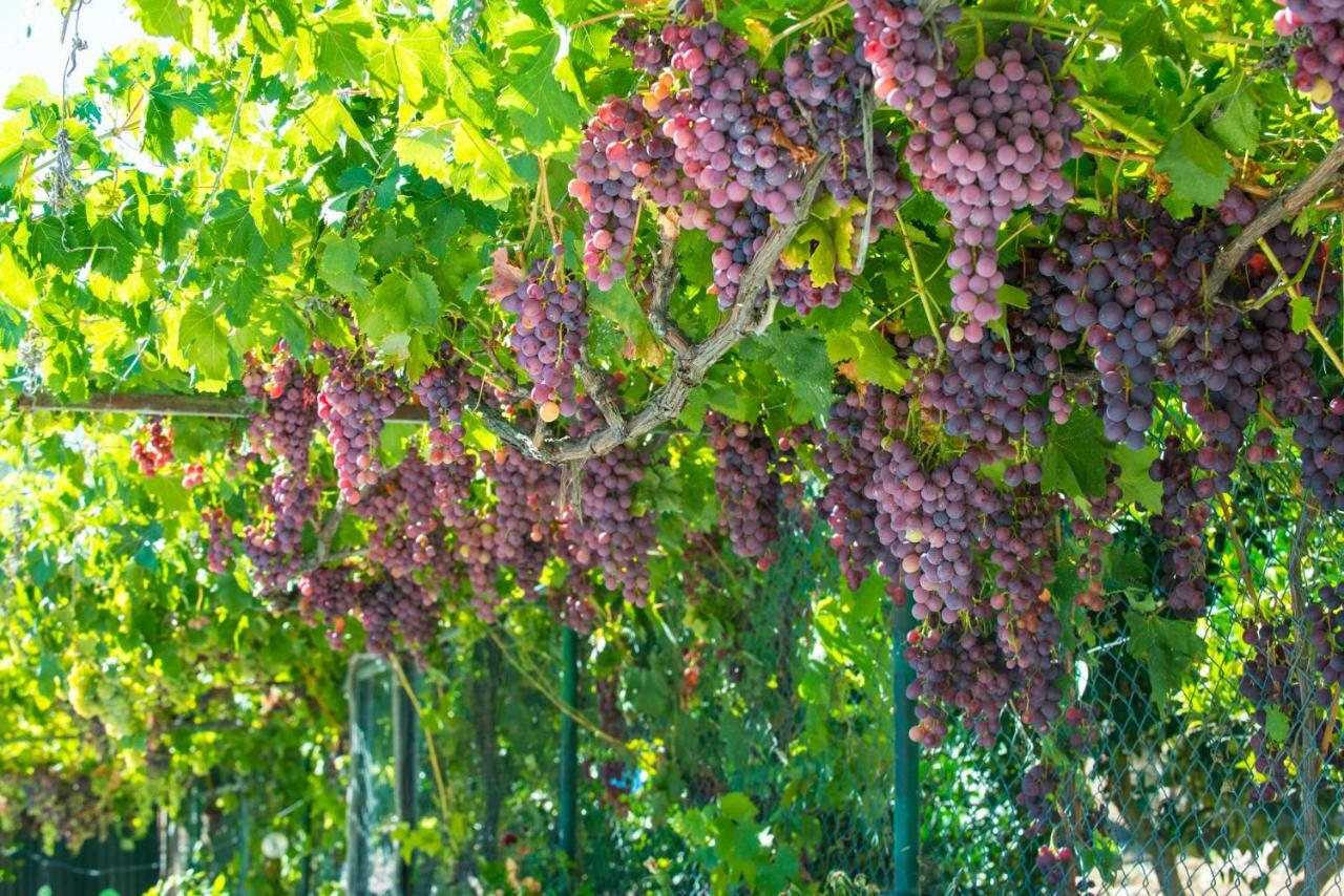 הוילה וילה פרנקה דה שירה Quinta Montebelo מראה חיצוני תמונה